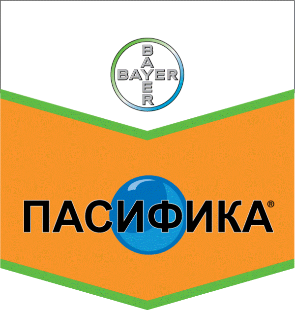 Пасифика ВГ